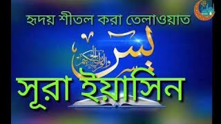 সূরা ইয়াসিন ও আর রহমান অর্থসহ। Surah yasin and Ar Rahman with bangla translationQari Shakir Qashmi [upl. by Annetta30]