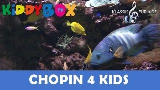 Mozart Bach Chopin  Klassik für Kinder  Unterwasserträume KIDDYBOXTV [upl. by Dralliw]