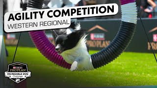 Incredible Dog Challenge SmallMedium Dog Agility Western Regional  NBC Sports [upl. by Horatius622]