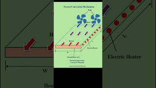 Forced Convection Process Mechanism heat heattransfer convectionheattransfer forced energy [upl. by Guglielmo928]