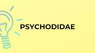 What is the meaning of the word PSYCHODIDAE [upl. by Beeck]