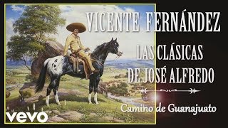 Vicente Fernández  Camino de Guanajuato  Cover Audio [upl. by Nnaira]