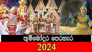 තුම්මෝදර පෙරහැර 2024 [upl. by Ruscher]