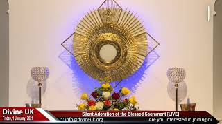 LIVE  Holy Eucharistic Adoration [upl. by Aivatnahs]