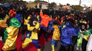 Carnaval 2011  Guadeloupe  Petit Bourg [upl. by Jewel]