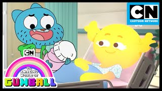 Gumball jest teraz OJCEM  Niesamowity świat Gumballa  Zażenowanie  Cartoon Network [upl. by Aklim]