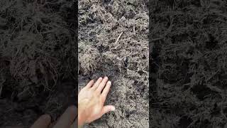 Mulch for the property 💩 mulch mulching compost [upl. by Ane136]