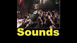 Crowd Scream Sound Effects All Sounds [upl. by Alios]