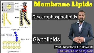 Lecture10 P2  Membrane Lipids  Cerebroside  Sphingolipids  Phosphatide  Ganglioside  Myelin [upl. by Renick219]