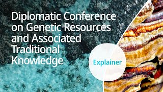 Explained WIPO Diplomatic Conference on Genetic Resources and Associated Traditional Knowledge [upl. by Llennej86]