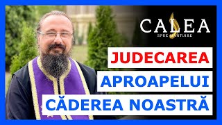 🔵 JUDECAREA APROAPELUI CĂDEREA NOASTRĂ  Pr IACHINT [upl. by Thessa]