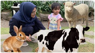 Main Sambil Belajar Bersama Hewan di Cimory Dairyland Prigen Jawa Timur [upl. by Shamus]