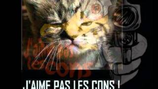 Georges Brassens chante les cons [upl. by Aneelas]