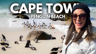 Visiting the Penguin Colony at Boulders Beach in Cape Town South Africa 🇿🇦 [upl. by Eleahcim]