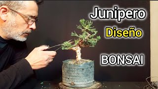 COMO HACER UN BONSAI EL DISEÑO SUPER FACIL PASO A PASO [upl. by Libyc]