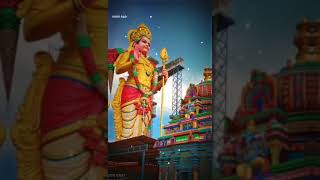 Maruthamalai sathiyama songs muruga thunai 🙏 [upl. by Straus701]