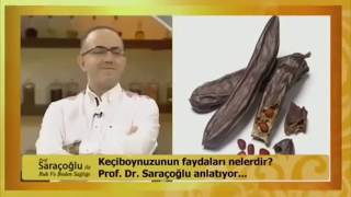 ÇEÇİ BOYNUZU FAYDALARI İbrahim Saraçoğlu [upl. by Anileme]