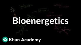 Bioenergetics The transformation of free energy in living systems  MCAT  Khan Academy [upl. by Baptist599]