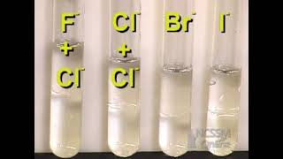 Halogens Displacement Reactions [upl. by Aieki]