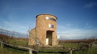 Rundgang in den Weinbergen von Hochstadt Pfalz HD [upl. by Pirri797]