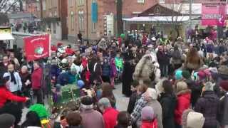 Rosenmontagsumzug 2015 in Böblingen [upl. by Lytton]