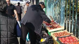 Initial Days in Central Asia Region  Kazakhstan Almaty  City of Apples  Travel amp Tour of World [upl. by Alexa]