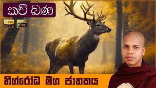 නිග්රෝධ මිග ජාතකය  Nigrodha Miga Jathaka Kathawa  Sinhala Kavi Bana [upl. by Marlea518]