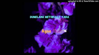 DumelangMetswalleYakaRemixbyAyeeThabza [upl. by Ettenej]