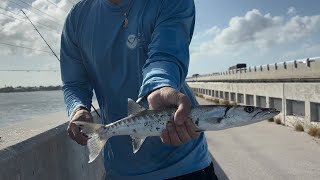 Florida Keys Bridge Fishing [upl. by Oni]