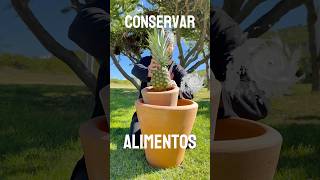 Conserva alimentos 💡 Sin electricidad Pt4 [upl. by Darwin]