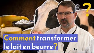 Comment transformer le lait en beurre [upl. by Andriana]