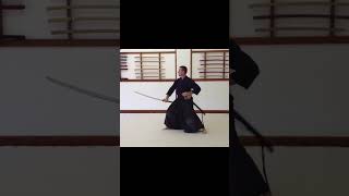 ￼ Samurai Sword kenjutsu Full video below [upl. by Yci]