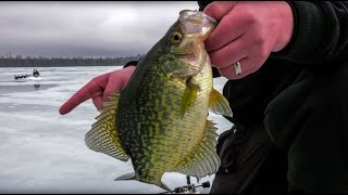 Last Ice Crappies  InDepth Outdoors Season 10 Episode 17 [upl. by Crespo356]