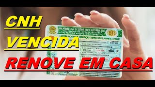 Renovação da CNH em 2024 [upl. by Goldwin]