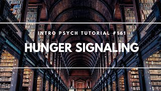 Hunger Signaling Intro Psych Tutorial 161 [upl. by Uuge396]