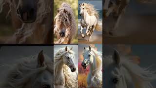 viralvideo horse thedailydose lyrics [upl. by Maiga]