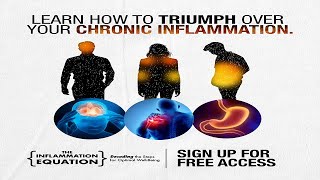 The Inflammation Equation Docuseries with Dr Tom OBryan [upl. by Pressman927]