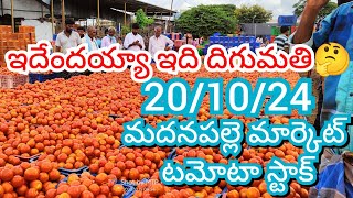 201024 Madanapalle Tomato Market price Today  Today Tomato Market Rate in Madanapalle today [upl. by Japheth355]