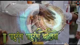 Pandurang Pandurang Bolato Mrudang God videos Pandarpur🙏 [upl. by Anahoj26]