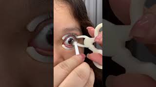 Eye speculum Or Eye Opener medical [upl. by Ahsiened]