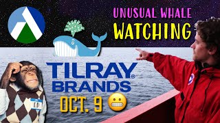 Tilray Brands Unusual Activity for October 9 Before Earnings [upl. by Sirrad]