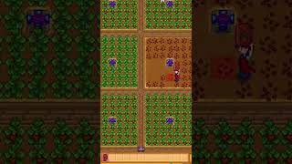 Everything you need to know about Strawberries in Stardew Valley shorts stardewvalley gaming [upl. by Mariellen]