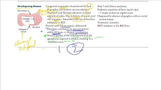 Hirschsprung Disease  USMLE STEP 1 [upl. by Evita]