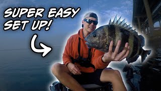 This Simple Rig Caught SHEEPSHEAD off Bridge Structure [upl. by Leahey]