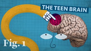 Why the teenage brain has an evolutionary advantage [upl. by Travax]