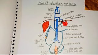 Sites of portosystemic anastomosis Easy way to draw sketch of Portosystemic anastomosismbbs sketch [upl. by Kohcztiy465]