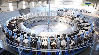 The Incredible Rotary Milking Parlour from Dairymaster [upl. by Asina857]