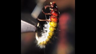 Tying the Hydropsyche Caddis Larvae by Ondrej Rusnak [upl. by Tonya]