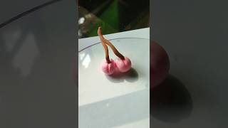 🍒🍒Air dry clay art clay art shortsfeed satisfyingvideos clayart shortvideos [upl. by Leiand]