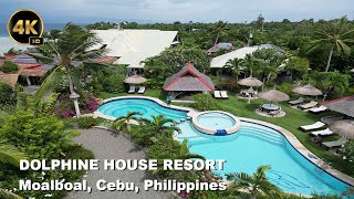 Dolphine House Resort Spa and Dive Moalboal Cebu Philippines tour travel philippines [upl. by Jessey]